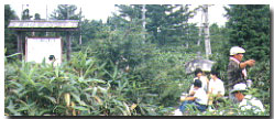 Nature Park