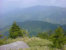 View from the summit area