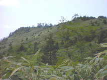 下山道側から山頂方面を望む