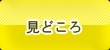 見どころ