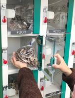 手に袋を持ちながら自動販売機の扉を開けている様子