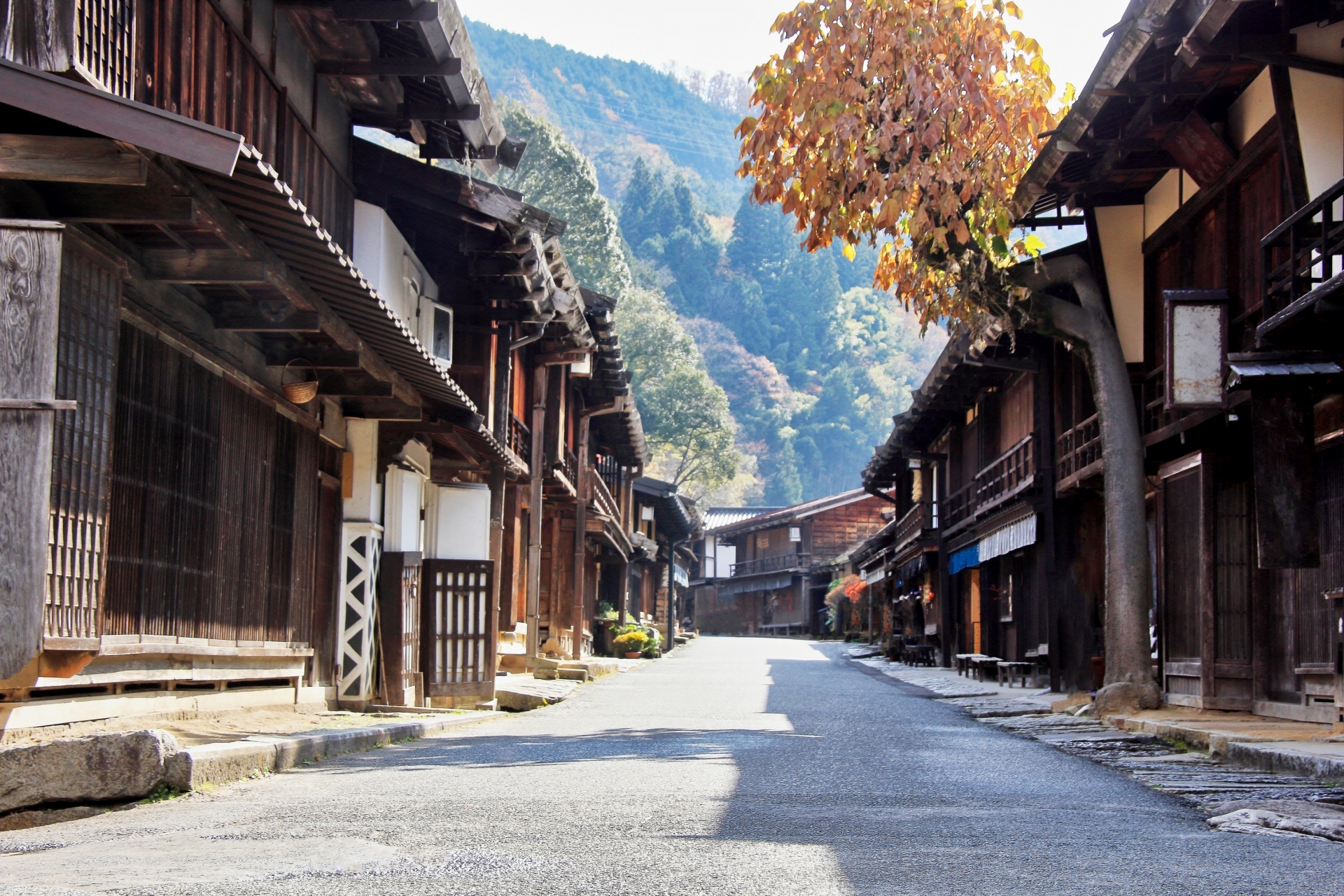 江戸時代の町並みを思わせる木造の商家が並ぶ石畳の通りの中央に紅葉した木と遠くに山並みが見える風景