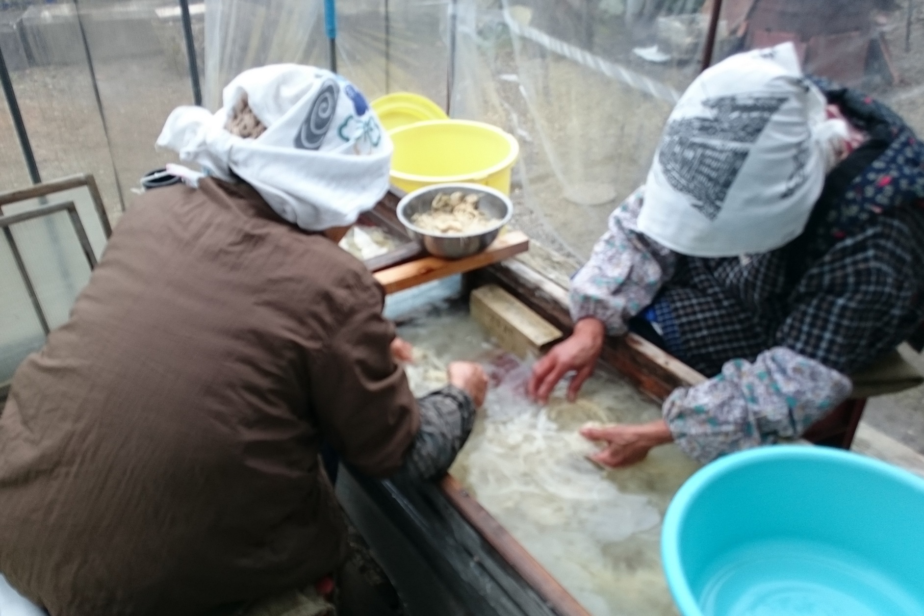 頭に帽子をかぶり手袋をした二人がシンクで氷や魚を扱いバケツやボウルが置かれた厨房の作業風景