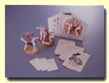 Tadachi Washi (Japanese paper)